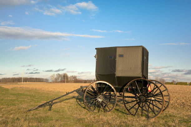 istock Old Amish Wagon-Hamilton County,Indiana 1390898278