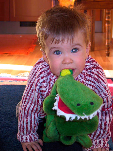 Hungry little boy eating crocodile stock photo