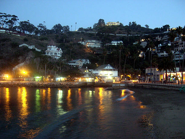 istock Avalon California taken from across the harbor 139089974