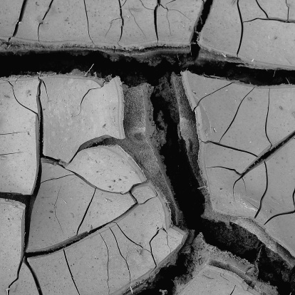 Abstract image of mudcracks.