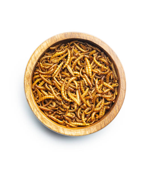istock Fried salty worms. Roasted mealworms. 1390900942
