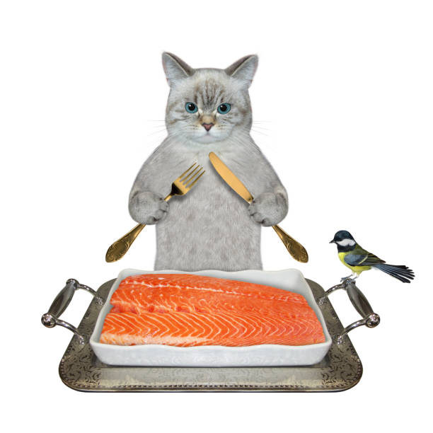 istock Cat ashen eats salmon from metal tray 1390901302