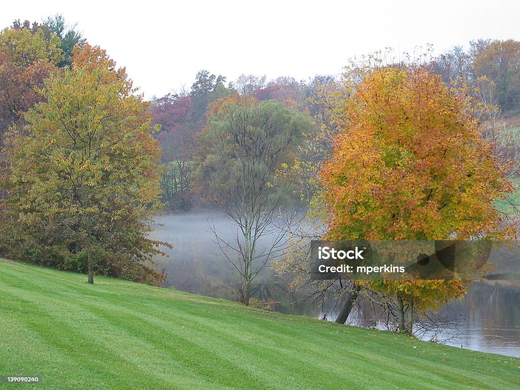 Rainy, otoño por la mañana - Foto de stock de Agua libre de derechos