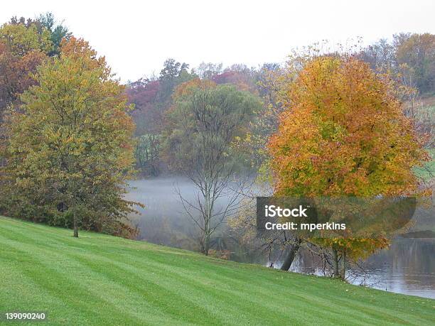 Rainy Otoño Por La Mañana Foto de stock y más banco de imágenes de Agua - Agua, Aire libre, Ajardinado