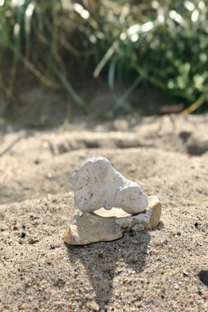 istock Zen fossil pile 1390902970