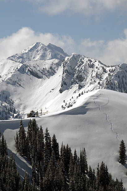 istock Snow covered Wasatch Mountains with cloudy blue sky 139090665