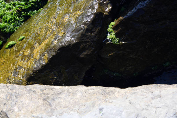 Stones on the Black Sea coast. A natural beach.