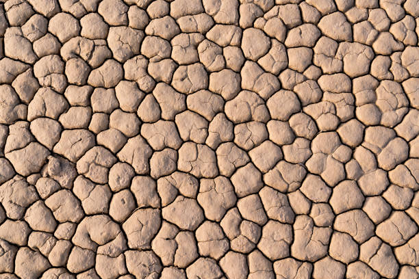 Dry Cracked Lakebed Background Dry cracked lake bed background in the desert lakebed stock pictures, royalty-free photos & images