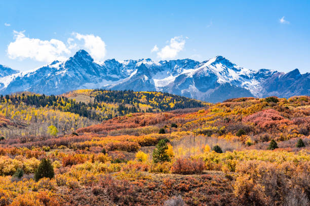 Fall Foliage in the San Juan Mountains of Colorado Golden autumn aspen trees in the San Juan Mountains of Colorado sneffels range stock pictures, royalty-free photos & images