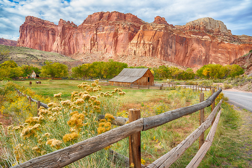 Historic Gifford Barn and horse pastures along the Fremont River in Capitol Reef National Park, Utah