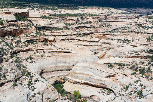 Beautiful eroded sandstone canyon in Natural Bridges National Monument in Utah