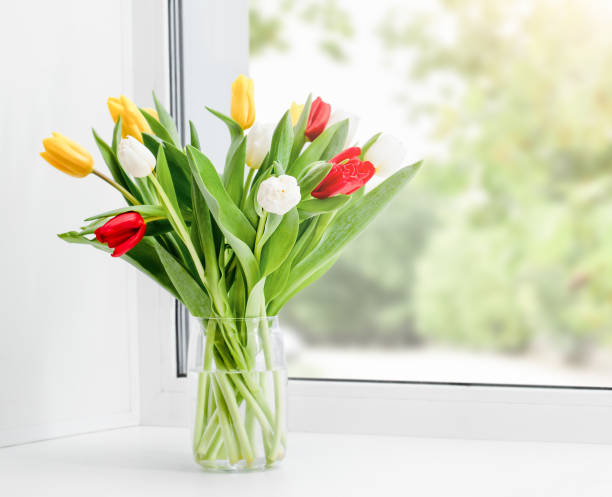 istock bouquet of tulips on the window 1390908573