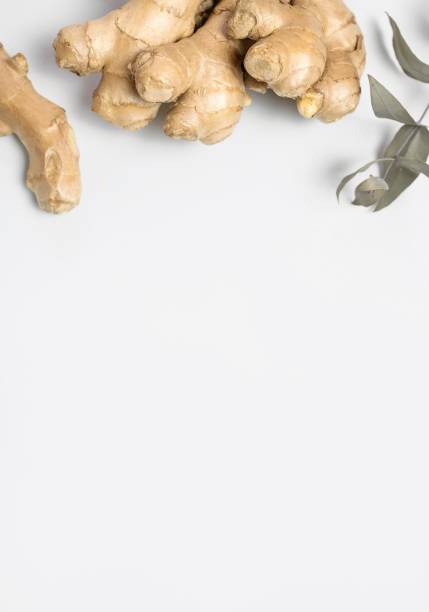 istock Fresh ginger root, eucalyptus branches on gray background top view flat lay. Spice for cooking, herbal tea with ginger to boost immunity. Natural organic ginger for health, medicine, protection colds 1390909465