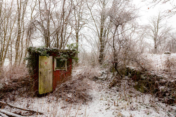 Outhouse toilet An old worn and torn toilet house in winter forest, outhouse interior stock pictures, royalty-free photos & images