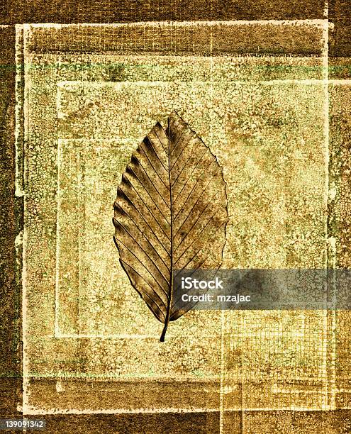 잎 인쇄 콜라주 한 질감 배경기술 0명에 대한 스톡 사진 및 기타 이미지 - 0명, 가을 단풍, 배경-주제