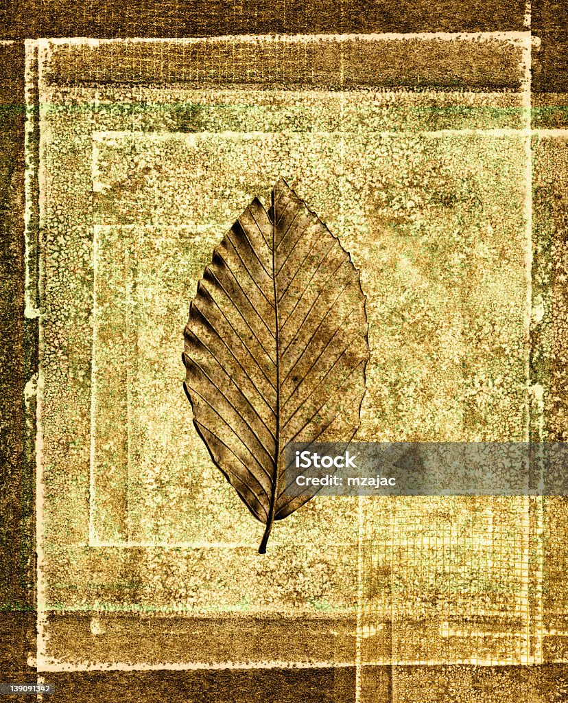 Colagem com folhas de impressão fundo texturizado - Foto de stock de Arte royalty-free