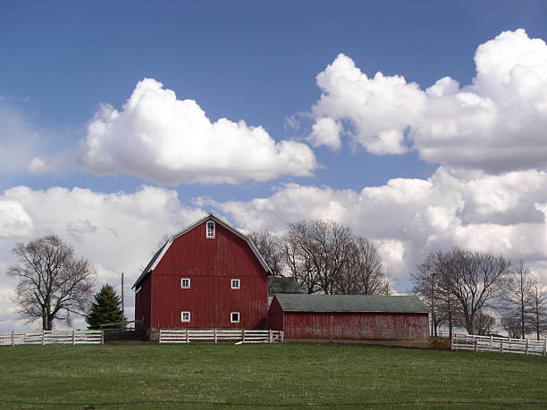 istock Beautiful spring day on the farm 139091403