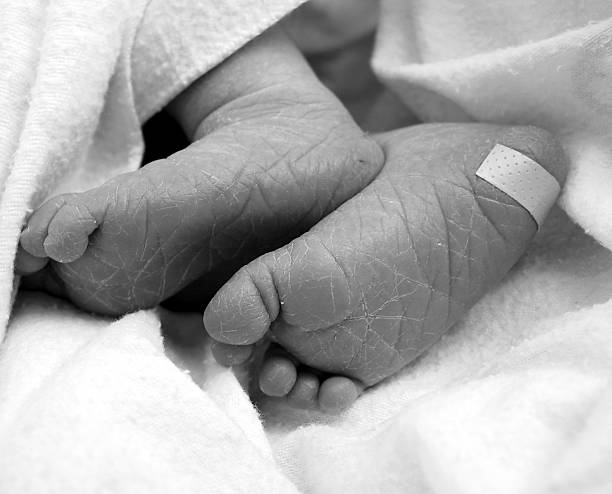 newborn baby feet just hours after delivery.  bandaid due to hemoglobin test.