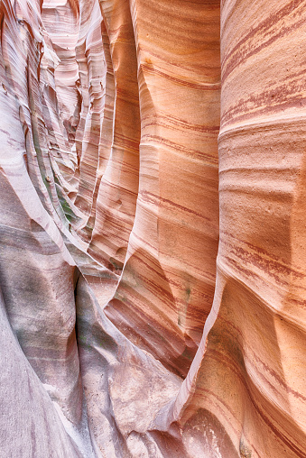Zebra Canyon is a vivid striped and very narrow gorge. The awsome zig-zag shapes were created by water. Grand Staircase-Escalante National Monument, Utah. USA