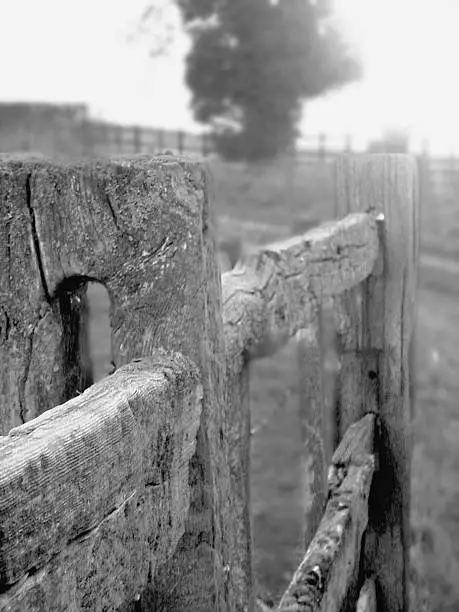 Boundary fence, facing into the sun along a path.  If you download, please comment if you can. I'm trying to build a portfolio of work.