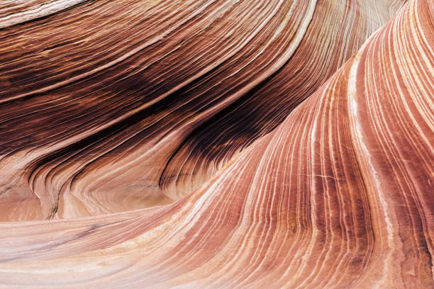 istock The Wave in Arizona 1390915088