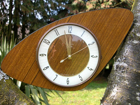 clock on a tree