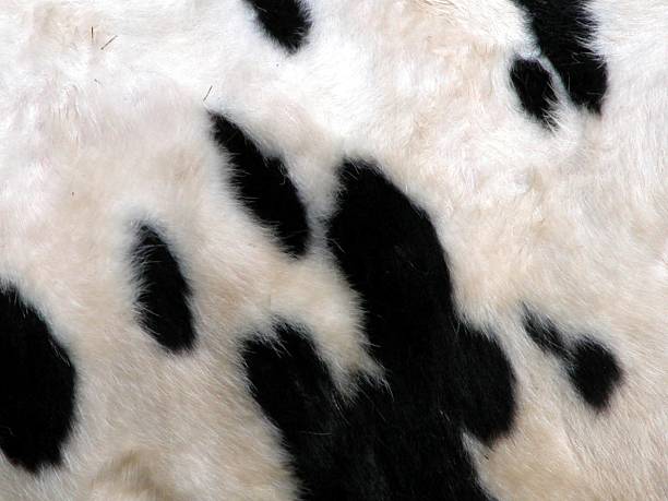 istock animal fleece 139091828
