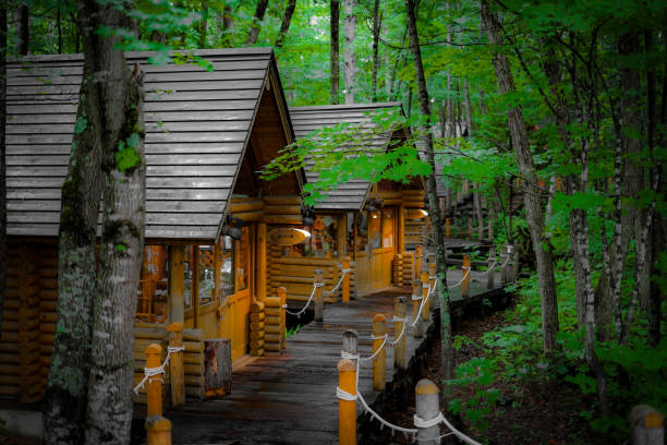 Image of Lodge standing in the forest. Shooting Location: Hokkaido Furano