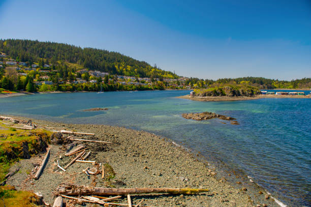 istock Piper's Lagoon Park in Nanaimo, British Columbia. 1390921614