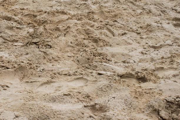 istock Full frame shot of a beach sand with shoe prints 1390926997