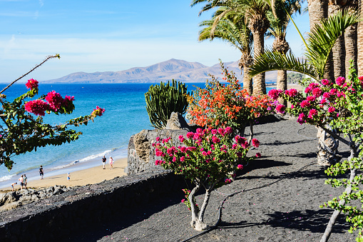 Puerto del Carmen, Lanzarote, Canary islands photo