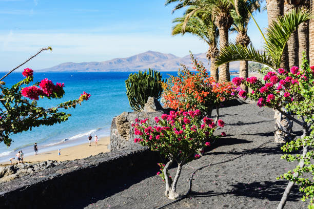 puerto del carmen, lanzarote, canary islands - isla de lanzarote fotografías e imágenes de stock