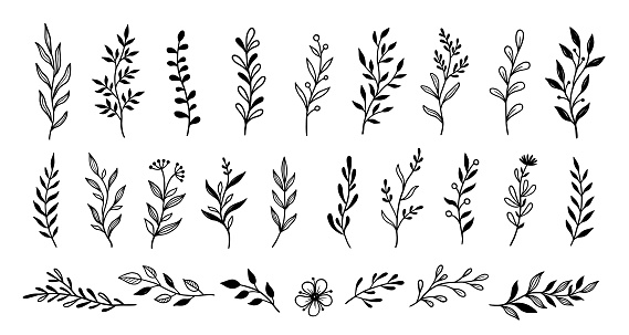 Leaf branch wreath rustic set. Hand drawn sketch doodle style leaf. Flourish branch, laurel flower for border, divider design element. Vector illustration.