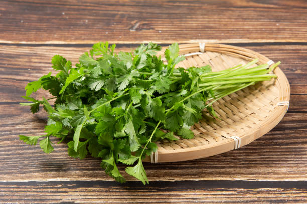 istock coriander or Chinese parsley on wooden table 1390937207