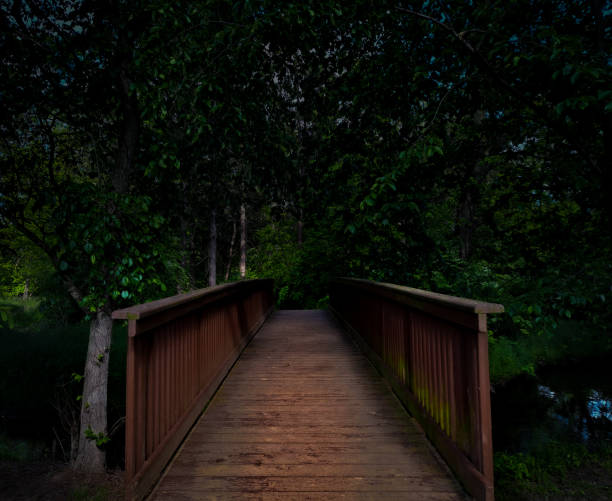 istock Red Wooden Bridge Into the Woods 1390938398