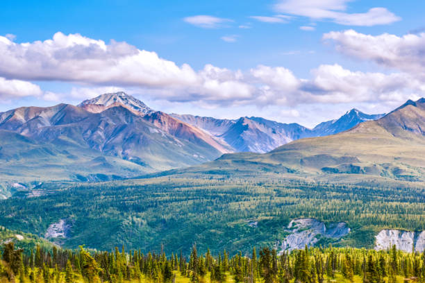 Chugach Mountains - Alaska Mountain Ranges Traveling alongside the Matanuska Valley comes with amazing views. Summertime growth brings out the variety of colors The Chugach Mountains offerS wide open views for the locals and visitors of Alaska. chugach mountains photos stock pictures, royalty-free photos & images