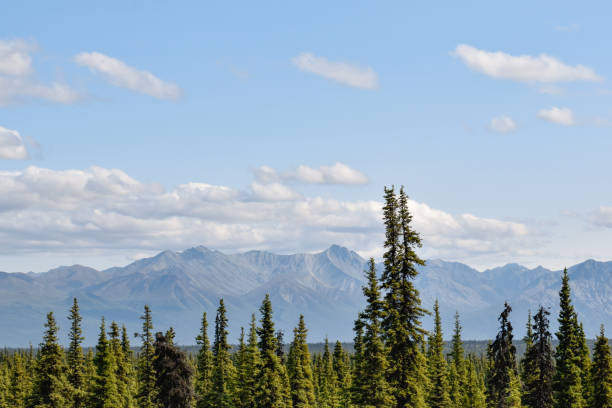 istock Chugach Mountains - Alaska Mountain Ranges 1390947867