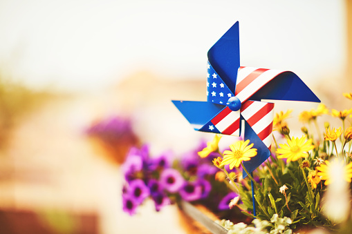 Patriotic pinwheel with summer flowers in warm sunshine