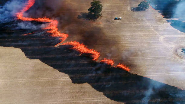 brennende weizenfelder - crop damage stock-fotos und bilder