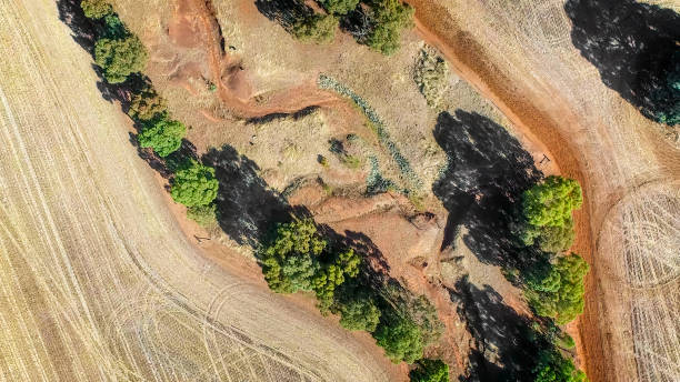 istock Dry Creek through farmland 1390954359
