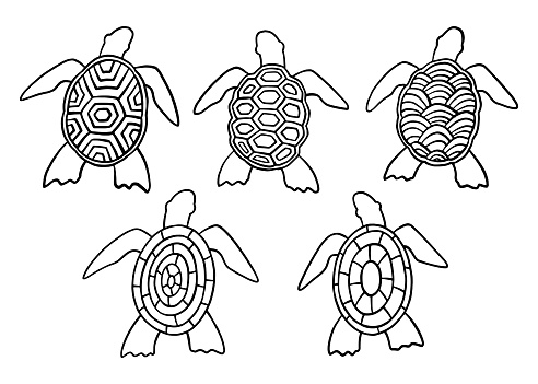 Sea turtle with abstract shell patterns doodle collection set. Vector illustration