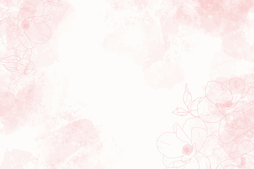 pink watercolor splash background with line art poeny