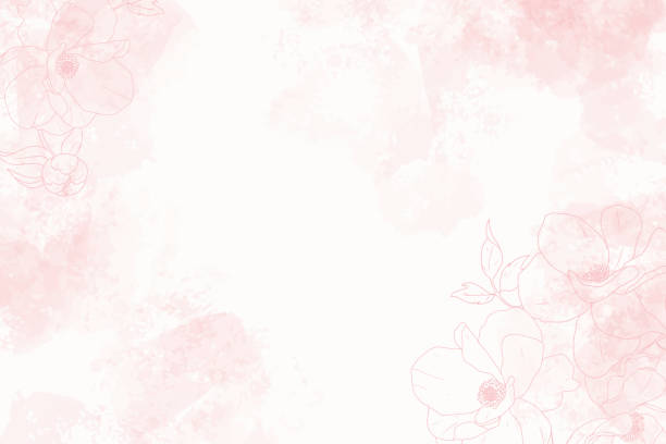 pink watercolor splash background with line art poeny pink watercolor splash background with line art poeny golden roses stock illustrations