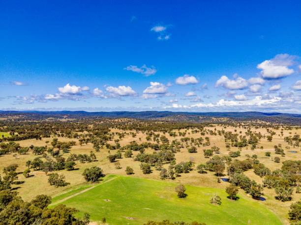 istock Bush Lands of Emmaville Australia 1390965002