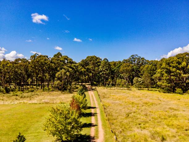 istock Bush Lands of Emmaville Australia 1390965025