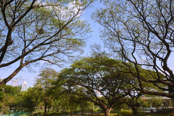 istock Park, architecture and cityscape in Thailand 1390965900