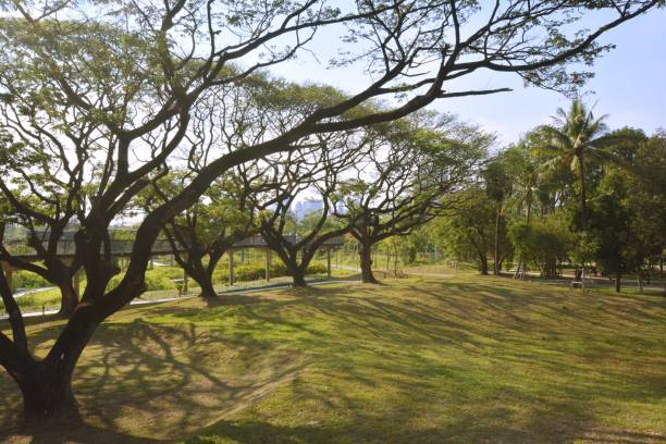 istock Park, architecture and cityscape in Thailand 1390965912