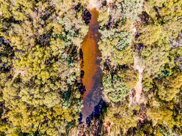 istock Bush Lands of Emmaville Australia 1390965977