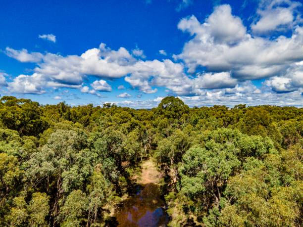 istock Bush Lands of Emmaville Australia 1390966017