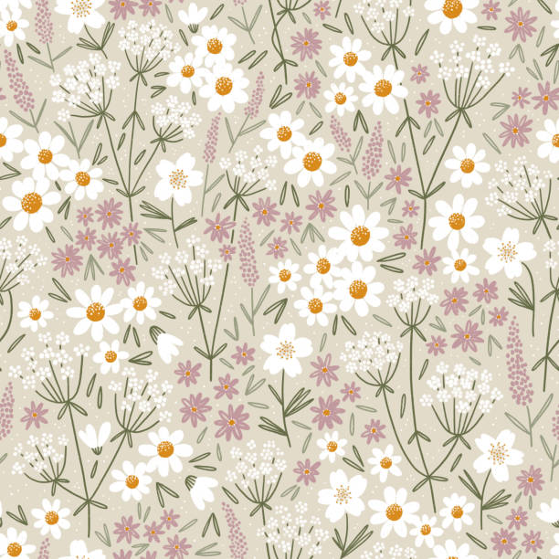 illustrazioni stock, clip art, cartoni animati e icone di tendenza di fiori di campo selvatici e graziosi, illustrazione di modelli - chamomile flower field chamomile plant